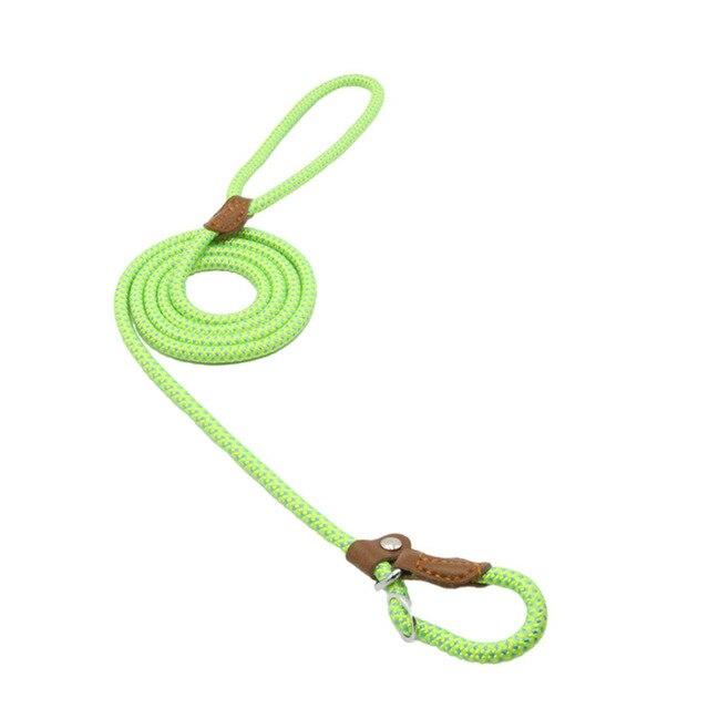 Mutt & Home Nylon Lead and Collar set