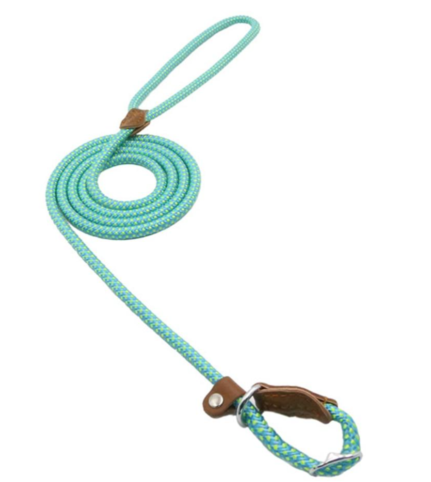 Mutt & Home Nylon Lead and Collar set