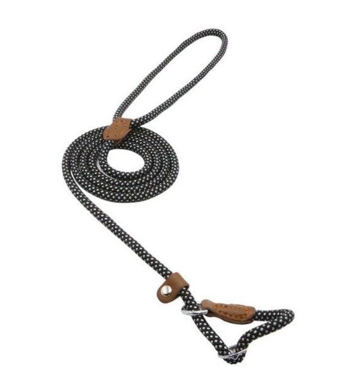 Mutt & Home Nylon Lead and Collar set