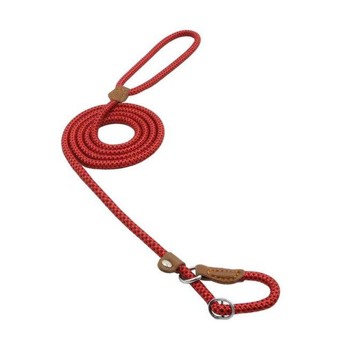 Mutt & Home Nylon Lead and Collar set