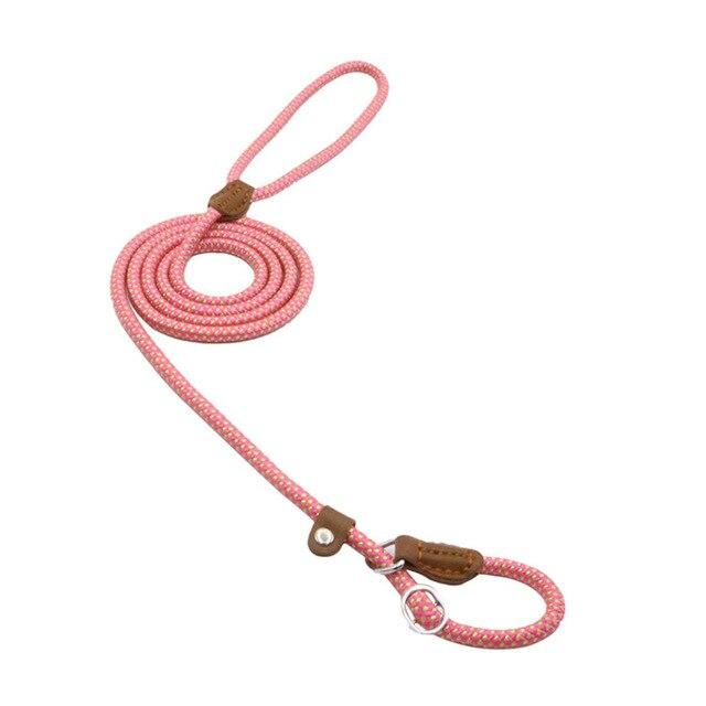 Mutt & Home Nylon Lead and Collar set