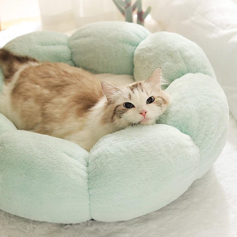 Soft Flower Shaped Bed for Pets
